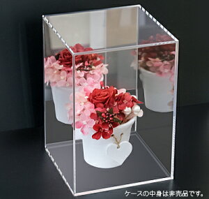 yFzANP[X(wʃ~[^Cv) (3~)(O)(200)(200)(260)