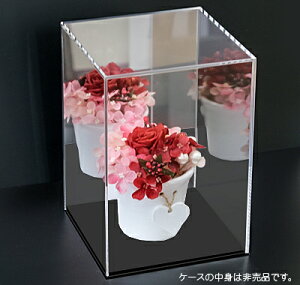 yFzANP[X (wʃ~[^Cv)(3~)(O)(350)(350)(550)