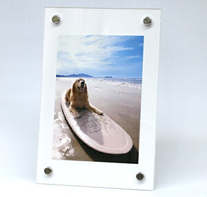 mOAtHgt[  B5TCY(182×257) ܓ^Cv