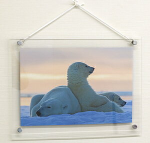 |X^[t[(B-4) (3+2~) S(337×444)Lbv(15~)