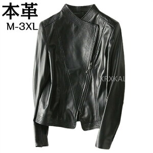 yԌSi10%OFFzU[WPbg U[ {v fB[X ~ V[g C_[XWPbg `FX^[R[g vW U[R[g ubN fB[X { AE^[V