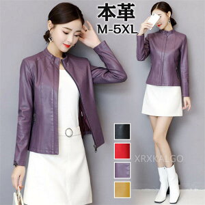 yԌSi10%OFFzU[WPbg U[ {v fB[X t V[g C_[XWPbg `FX^[R[g vW U[R[g { AE^[V[gR[g 2024 M L XL X