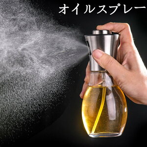 yԌSi10%OFFzICXv[ p 304XeX KX fBXyT[ GA] I[uIC