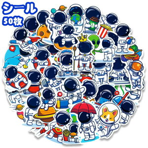 yԌSi10%OFFz蒠V[ 50 PVC Fsm V[V[g NXebJ[ 蒠fR RNV G