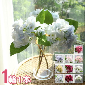 ySi10%OFF&|Cg5{z iLX 4F A tFCNt[ CeA 11{ ԑ u[P ֑}  AW {  VNt[ sN CG[ _[