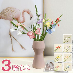 ySi10%OFF&|Cg5{z OWIX 7F A tFCNt[ CeA 31{ ԑ u[P ֑}  AW {  VNt[ sN CG[ _[N