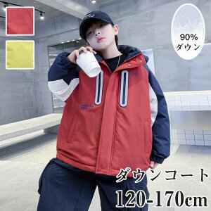 _ER[g q LbYj̎q _EWPbg 90%_E AE^[ LbY WPbgq 㒅 O g WjA y  O H~ h n   t[