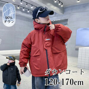 _ER[g q LbYj̎q _EWPbg 90%_E AE^[ LbY WPbgq 㒅 O g WjA y  O H~ h n   t[