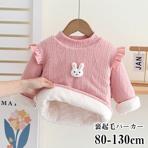 yԌSi10%OFFzxr[ p[J[ xr[ ̎q q LbY  gbvX vI[o[t ETM ~Ȃӂӂ g[i[lC  i ʊw ʉ tH~ 