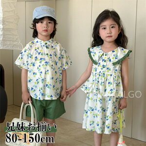 yԌSi10%OFFzq ZbgAbv oq LbY ̎q j̎q 2_Zbg Z ts[X  Vc+Y{ O[ 􉽕 100% pcZbg tĒ ㉺Zb