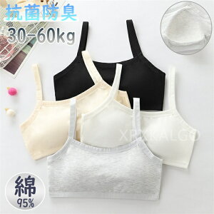 yPi/2_ZbgzLbY X|[cu WjAu w w q WjA X|u _X ȍa 95 Rbg q t@[Xgu 킢 n[tgbv uW[ m