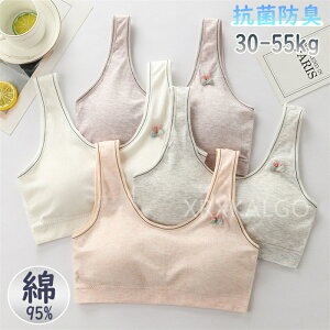 yԌSi10%OFFzyPi/2_ZbgzLbY X|[cu WjAu w w q WjA X|u _X ȍa 95 Rbg q t@[Xgu 킢 n[tgb