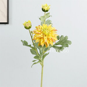 ySi10%OFF&|Cg5{z _A 3F A tFCNt[ CeA 11{ ԑ u[P ֑}  AW {  VNt[ sN CG[ _[Nbh