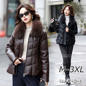 U[WPbg _EWPbg _E90 fB[XV[g tHbNX t@[ є h h y g 傫TCY ꂢ _ER[g rv U[ AE^[ 20 