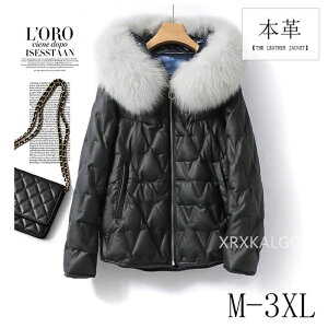 U[WPbg _EWPbg _E90 fB[XV[g tHbNX t@[ є h h y g 傫TCY ꂢ _ER[g rv U[ AE^[ 20 