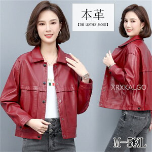 U[WPbg {v fB[X ~ V[g `FX^[R[g g`R[g U[R[g ubN fB[X {v V[gR[g  U[ R[g ~ ꂢ _E