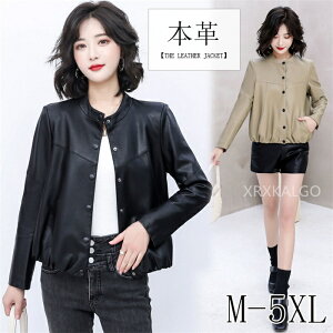 U[WPbg {v fB[X ~ V[g `FX^[R[g g`R[g U[R[g ubN fB[X {v V[gR[g  U[ R[g ~ ꂢ M L XL X