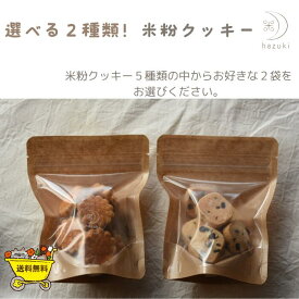 選べる2種類　米粉クッキー　チョコチップクッキー　カカオニブクッキー　玄米クッキー　おやさいクッキー　塩バタークッキー　米粉　クッキー　焼き菓子　グルテンフリー