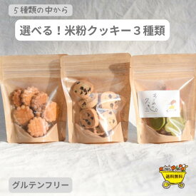 【本日ポイント5倍＋10%OFFクーポン配布中！】選べる3種類米粉クッキー 米粉 クッキー ギフト グルテンフリー チョコクッキー プチギフト 小麦粉不使用 アレルギー対策 グルテンフリー お菓子 米粉 おやつ こども 焼き菓子 国産米粉 バレンタイン