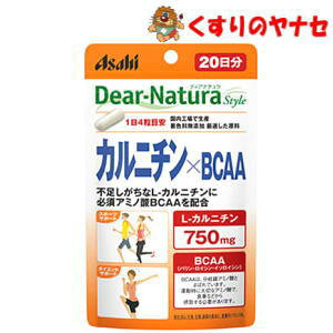 �y���[���֑Ή��z���f�B�A�i�`�����X�^�C�� �J���j�`��×BCAA 80��