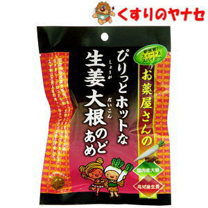 y[֑Ήz򉮂̂҂ƃzbgȐI卪̂ǂ 43g