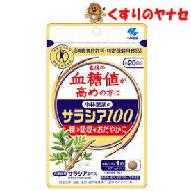 【メール便対応】※小林製薬のサラシア100　20日分（60粒）