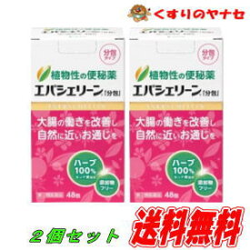 エバース・ジャパン エバシェリーン「分包」　48包×2個セット／【指定第2類医薬品】