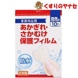 y[֑ΉzEނیtB wp 10