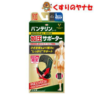 oeR[T|[^[ ЂpŒ^Cv ubN 傫(LTCY)1 ^Ђ10cḿF41cm`46cm