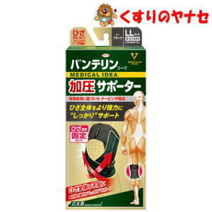 oeR[T|[^[ ЂpŒ^Cv ubN 傫(LLTCY)1 ^Ђ10cḿF46cm`51cm