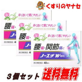 【宅急便コンパクト対応】ノーエチ薬品 ノーエチW 顆粒 40包×3個セット＋試供品10包プレゼント！ ／【指定第2類医薬品】／★セルフメディケーション税控除対象