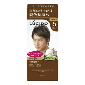 楽天市場 ヘアカラー メンズ ルシードの通販