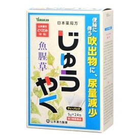 【第3類医薬品】じゅうやく　【5g×24包 】(山本漢方製薬)