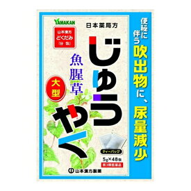 【第3類医薬品】大型 じゅうやく　【5g×48包】(山本漢方製薬)