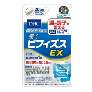DHC@͂rtBYXEX@y20z(DHC)yTvgz