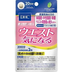 ウエスト気になる　20日分　【40粒】(DHC)