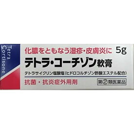 【第(2)類医薬品】テトラ・コーチゾン軟膏　【5g】(伊丹製薬)