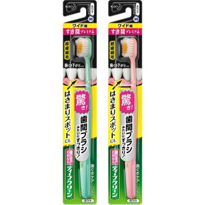 fB[vN[@PAnuV@ԃv~A@RpNg@ӂ@F͑Iׂ܂@y1{z(ԉ)