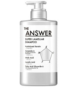 THE ANAWER(WAT[)@X[p[Vv[@|vy400mlz(ԉ)