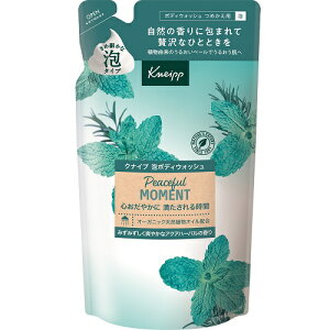 NiCv@A{fBEHbV@s[Xt[g@ANAn[o̍@߂p@y400gz(NiCv)