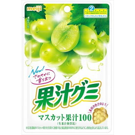 果汁グミ　マスカット　【54g×10個】(明治)