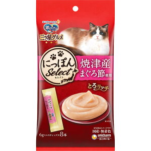 ̃Xv[@OcO@@܂ߎgp@y48gz(jE`[)