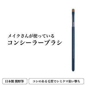 yCN񂪎gĂRV[[uVz FM { RV[[ uV V~ N} jLr Jo[ RV ㎿ uV CNuV x[XCN  M  F쉻ϕM  