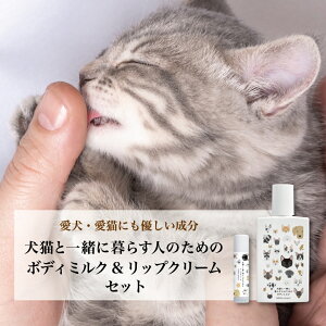 yLƈꏏɕ炷l̂߂̃{fB~N&bvN[Zbgz  L ybg {fBN[ ێ bvN[ Mtg Y I[KjbN v`Mtg v[g av[