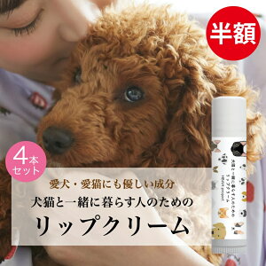 z12/11 1:59yLƈꏏɕ炷l̂߂̃bvN[E4Zbgz  L ybg Y I[KjbN bvN[ bvo[ Mtg v`Mtg v[g av[