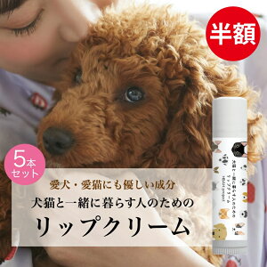 z12/11 1:59yLƈꏏɕ炷l̂߂̃bvN[E5Zbgz  L ybg Y I[KjbN bvN[ bvo[ Mtg v`Mtg v[g av[