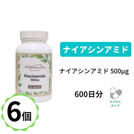 【ナイアシンアミド×6個】1粒でナイアシンアミド500mg ナイアシンアミド カプセル 100粒 自然由来 代謝 口内炎 ストレス イライラ Vitamin b3 ビタミン ビタミンb3 ビタミン剤 ビタミン類 サプリメント 男性 女性 健康食品 栄養補助 エイジングケア 美容 ナイアシン