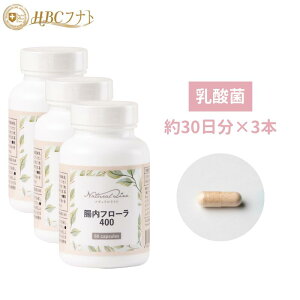 yHBCtig zyt[400×3z1400̓_۔z JvZ 60×3 IS voCIeBNX ׋ B.NeBX     _ Tvg j