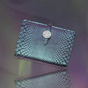 ycoogazo炫ƁA󕨁Bu肢I[ve[}̃RpNgȓ܂EHbg@Ecler auroraiGNI[j@fB[X܂z@{v@pC\@{@