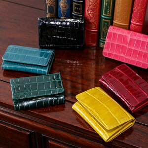 yB_zcpB _Ɓg΁ĥ悤ANR̖hP[XSiera crocoiVGNRjfB[X@hP[X@ANR {v NR J[hP[X _ z v